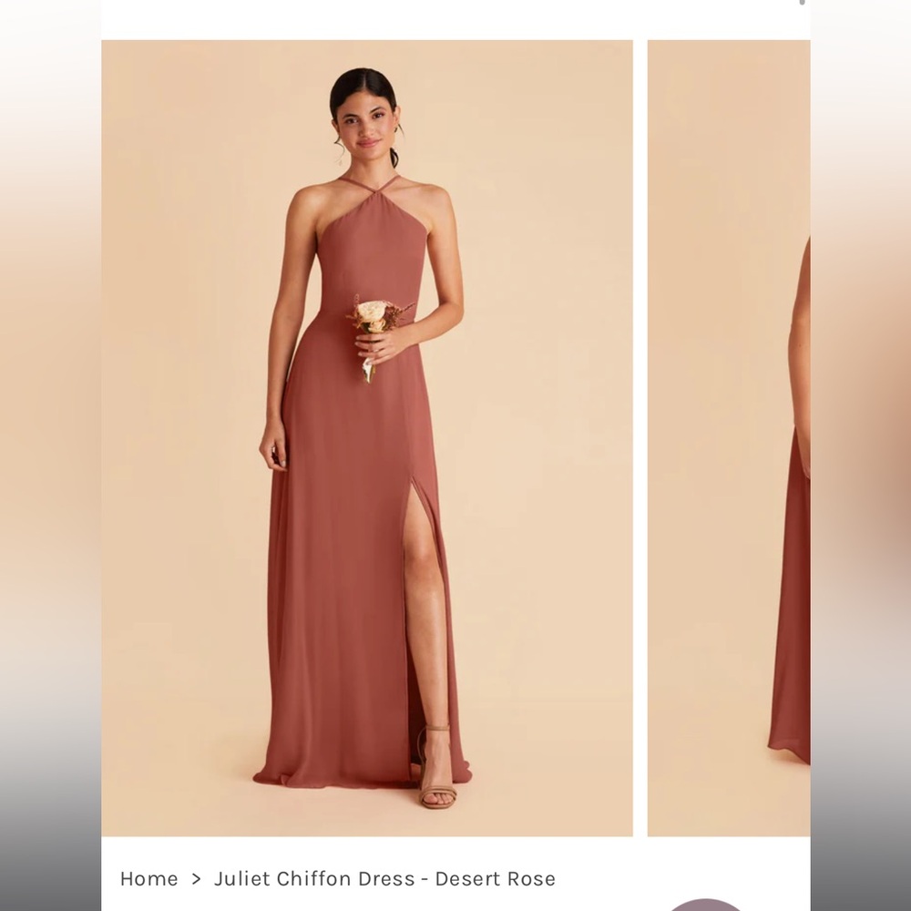 Birdy Grey Juliet Bridesmaid dress - Desert Rose